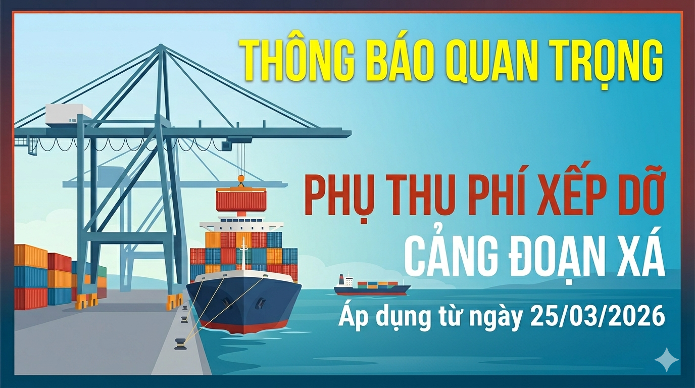 Ban hành bổ sung phụ thu xếp dỡ theo biến động giá nhiên liệu tại Biểu giá nội 2026